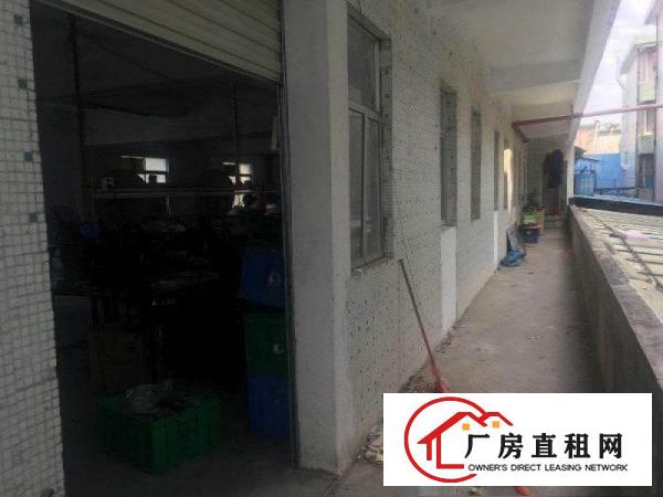 
清溪大利标准二楼360平方自带现成办公室水电装修