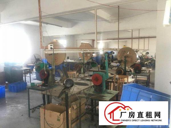 
清溪大利标准二楼360平方自带现成办公室水电装修