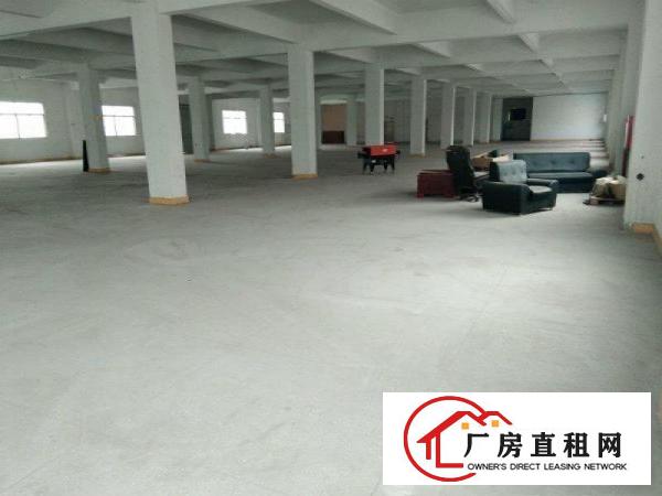 
清溪谢坑新出标准楼上2300平方，九成新，高端大气