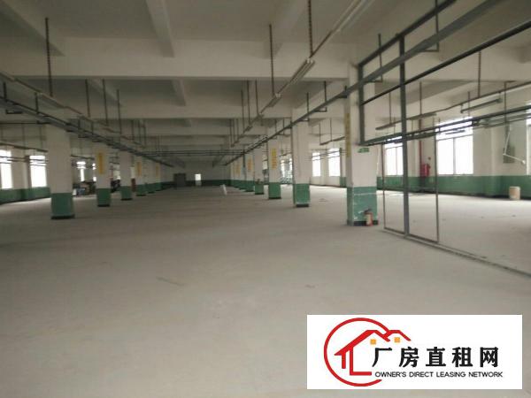 
（靓盘）清溪镇高速路口新出三楼厂房3000出租