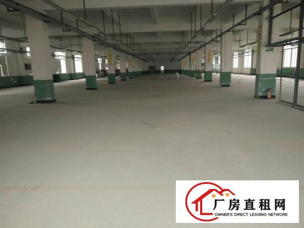 
（靓盘）清溪镇高速路口新出三楼厂房3000出租