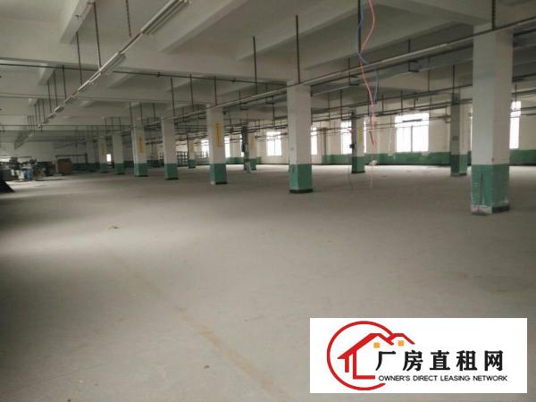 
（靓盘）清溪镇高速路口新出三楼厂房3000出租
