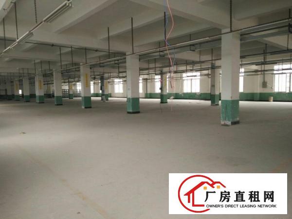 
（靓盘）清溪镇高速路口新出三楼厂房3000出租