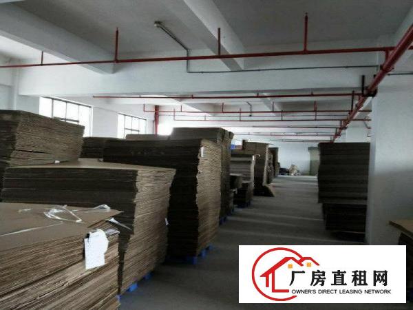 
清溪l荔横工业园楼上3200平方带消防喷现成办公