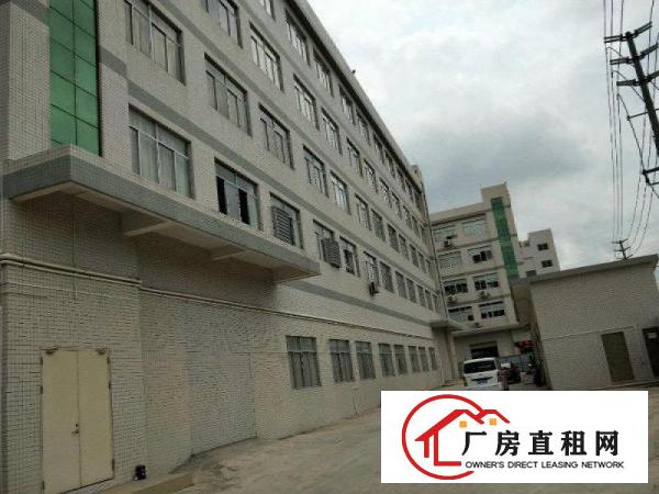 
清溪三中新出独院厂房每层1800平大小可分租