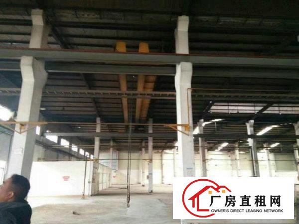 
清溪荔横钢构厂房10000平滴水10米带隔热层精装