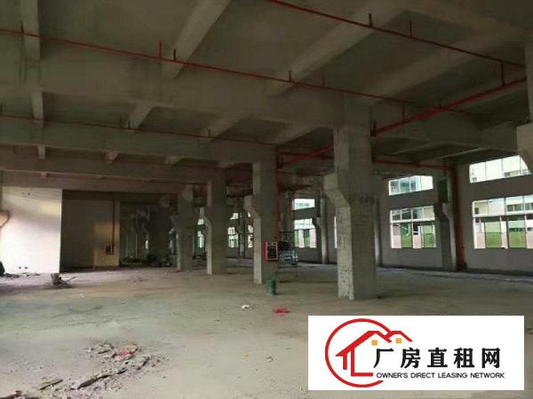 
清溪大利独院厂房六层20000平方水电齐全大小可分