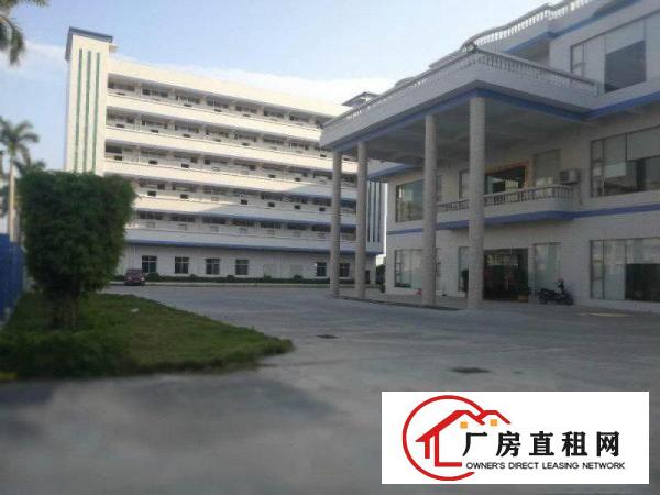 
特大好消！清溪新出红本独院厂房，35000平方，