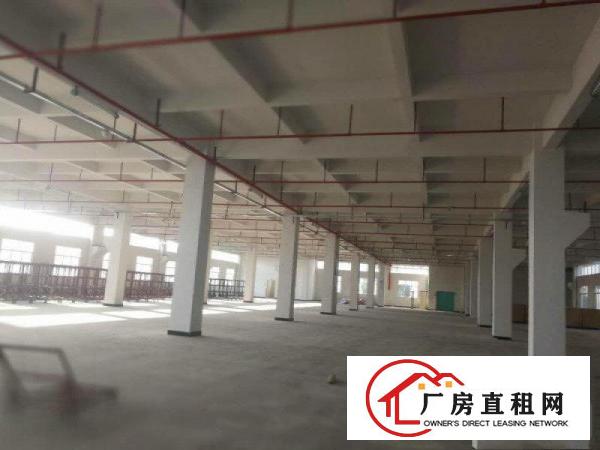 
特大好消！清溪新出红本独院厂房，35000平方，