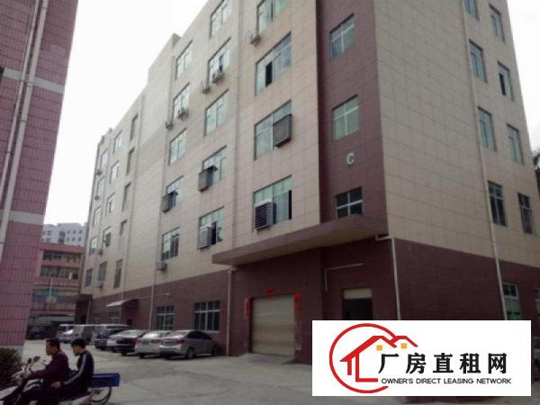 
清溪渔梁围新出一楼700平方带办公室厂房出租