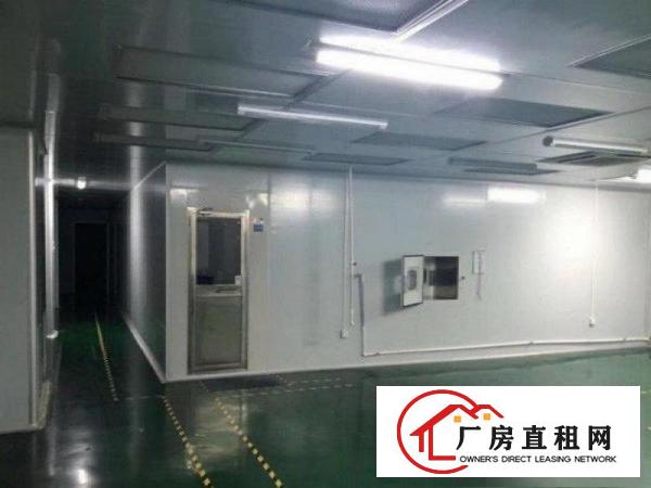 
清溪上元新出装修厂房现成水电办公室3楼1300平米