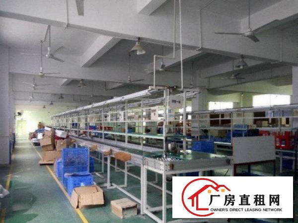 
清溪上元新出装修厂房现成水电办公室3楼1300平米
