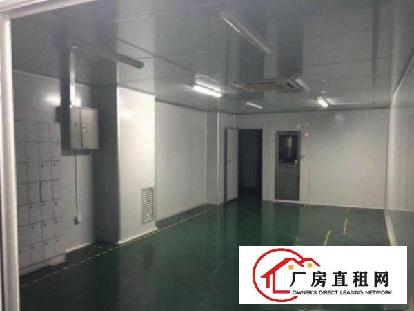 
清溪上元新出装修厂房现成水电办公室3楼1300平米