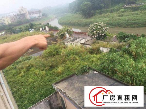 
清溪土桥原房东一楼700平精装修，水电齐全厂房出租