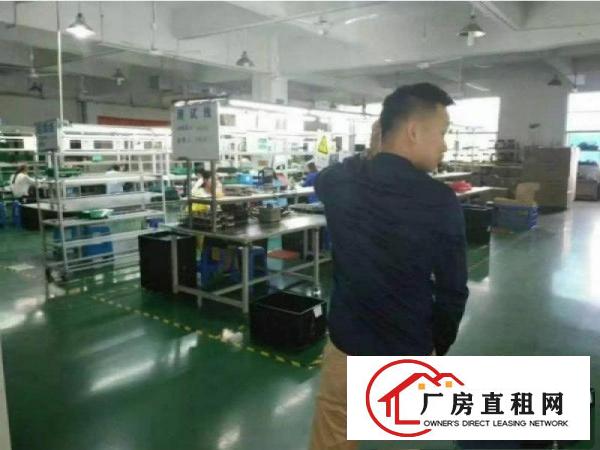 
清溪土桥新出楼上1200平方带装修厂房招租，空地大