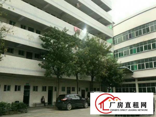 
清溪罗马原房东独院三层加办公楼、宿舍5400平米