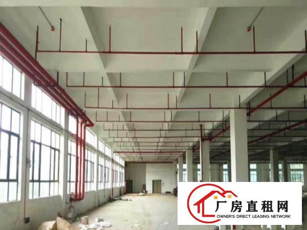 
清溪罗马独院厂房3500平形象好，空地大，带宿舍