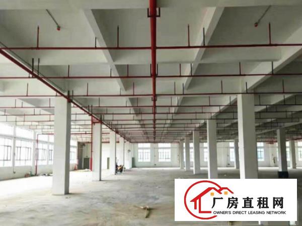 
清溪罗马独院厂房3500平形象好，空地大，带宿舍