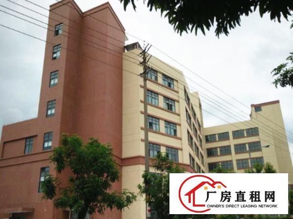 
清溪罗马独院厂房3500平形象好，空地大，带宿舍