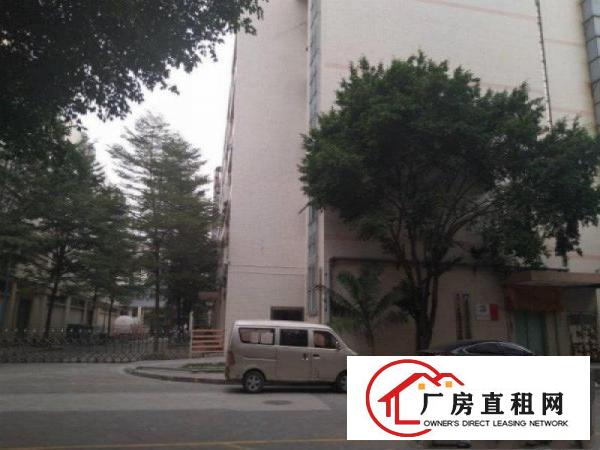 
清溪大利新出一楼750平米带装修厂房出租，水电齐全