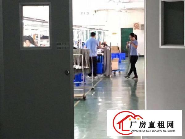 
清溪青皇村委独院厂房出租3680平方，刚空出