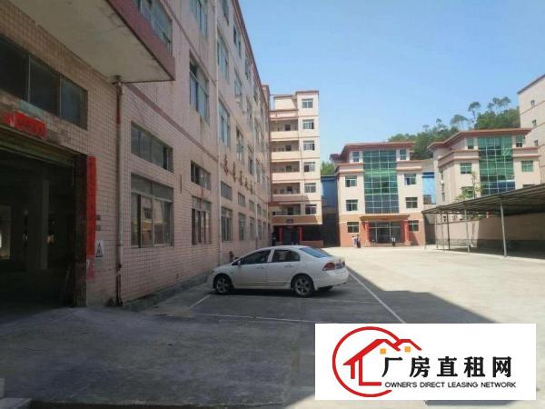 
清溪镇中心原房东红本独院厂房4层9500平出租