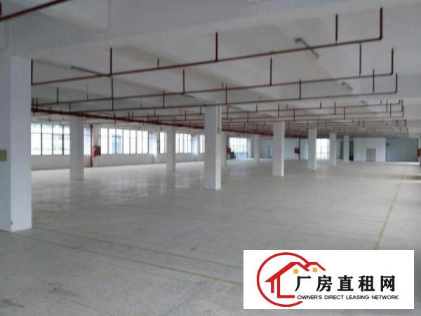 
清溪镇楼上厂房2000平方带喷淋可做电池可分租