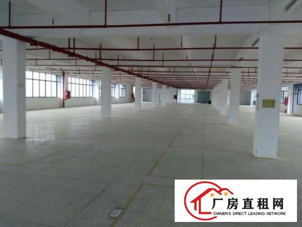 
清溪镇楼上厂房2000平方带喷淋可做电池可分租
