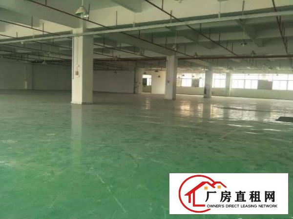 
清溪镇原房东独院厂房8600平方带装修招租