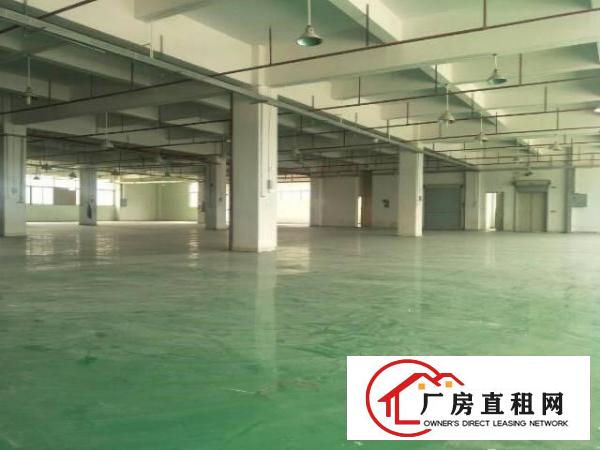 
清溪镇原房东独院厂房8600平方带装修招租