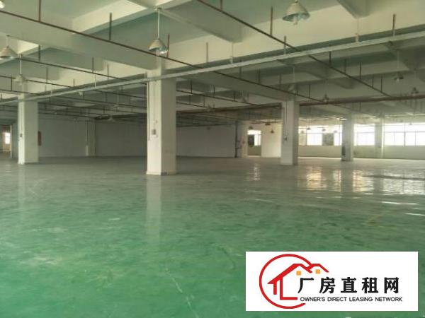 
清溪镇原房东独院厂房8600平方带装修招租