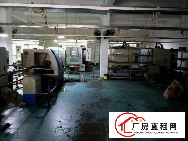 
清溪主干道清凤路标准一楼2000平米现成水电办公室出租