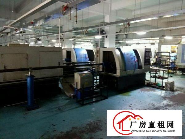
清溪主干道清凤路标准一楼2000平米现成水电办公室出租