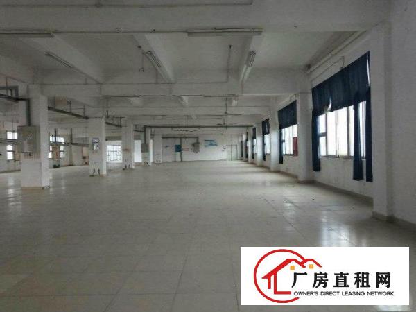 
清溪主干道边全新标准独栋厂房17层9660平招租