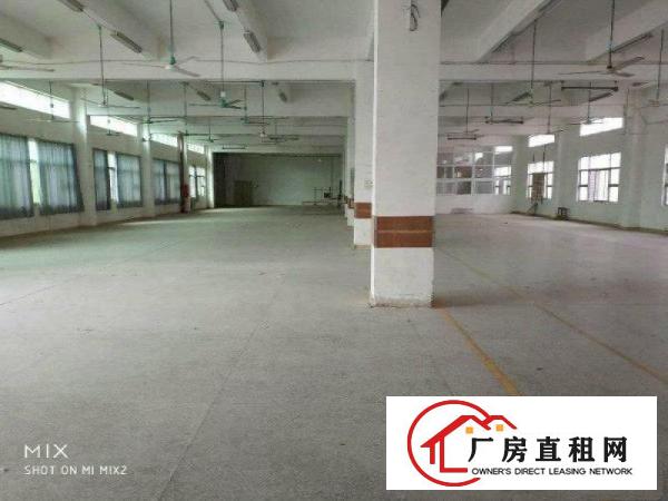 
清溪主干道边全新标准独栋厂房17层9660平招租