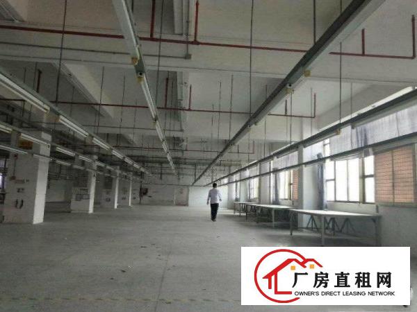 
清溪主干道边全新标准独栋厂房17层9660平招租