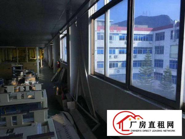 
清溪九乡空出楼上1250平全层地平漆精装办公室
