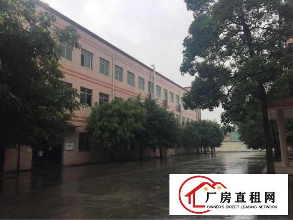 
清溪近凤岗原房东独院厂房12500平方带装修急租