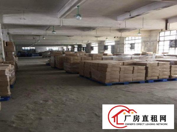 
清溪土桥新出一楼标准厂房出租1900平（可分租）