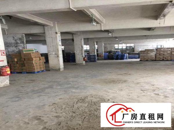 
清溪土桥新出一楼标准厂房出租1900平（可分租）