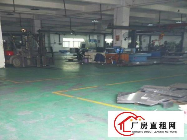 
清溪镇三中新出标准一楼厂房1300出租带现成行车