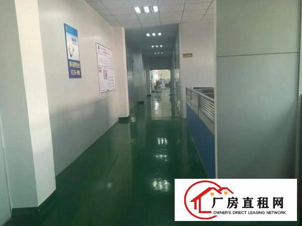 
（新盘）清溪三中新出楼上厂房1400招租水电齐全