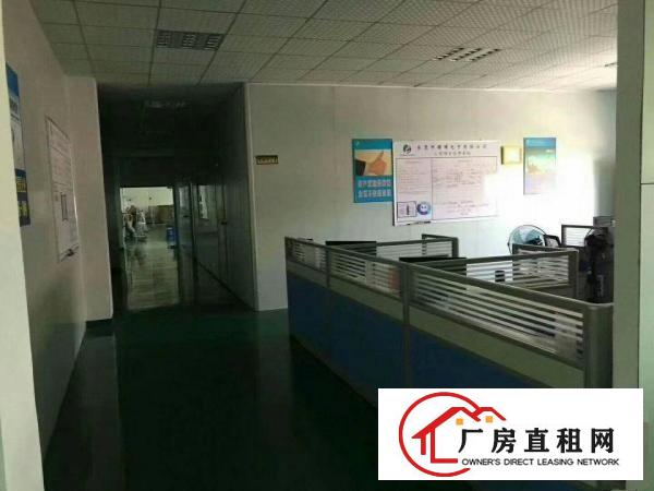 
（新盘）清溪三中新出楼上厂房1400招租水电齐全