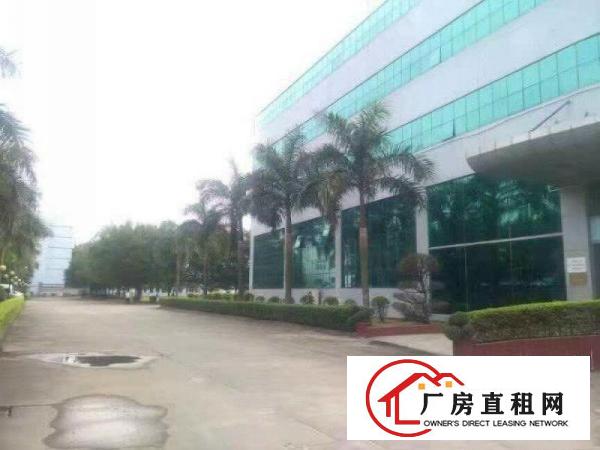 
清溪高速出口楼上5800平方整层带消防喷淋厂房出租
