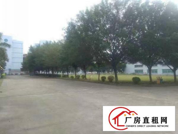 
清溪高速出口楼上5800平方整层带消防喷淋厂房出租
