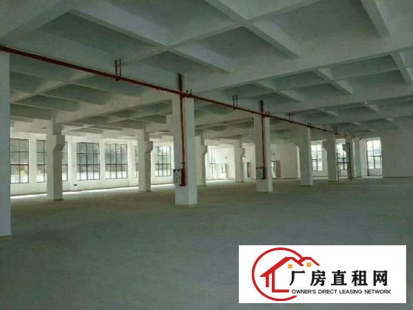 
清溪高速出口楼上4500平方整层带消防喷淋厂房出租