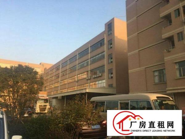
清溪高速出口楼上4500平方整层带消防喷淋厂房出租