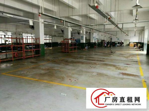 
清溪三中清凤路旁一楼1600平方带装修水电出租