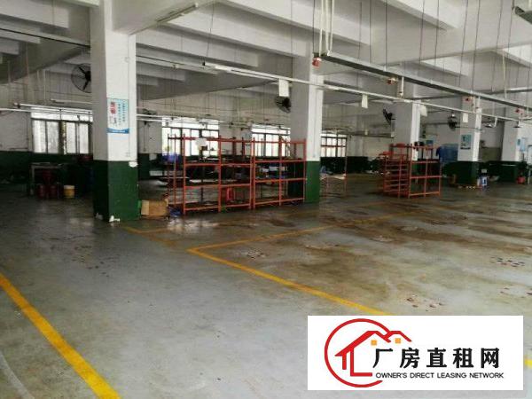 
清溪三中清凤路旁一楼1600平方带装修水电出租