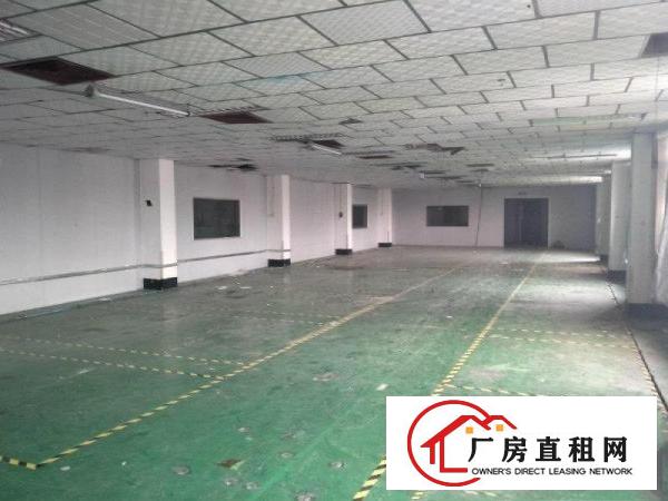 
清溪镇中心6500平方标准独院厂房出租